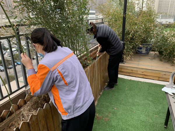 1615946365929563.jpg 2.jpg