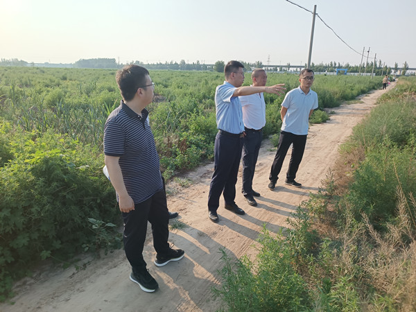 1689929621527984.jpg 6e82e98e6677c7bd3a87745fce654bb_副本.jpg